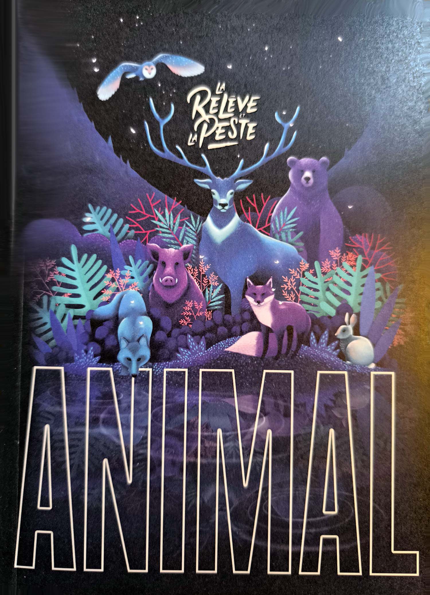 Animal