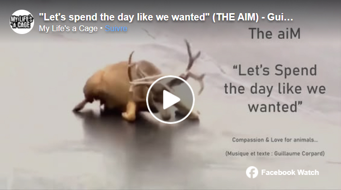 Let's Spend the Day – version Facebook