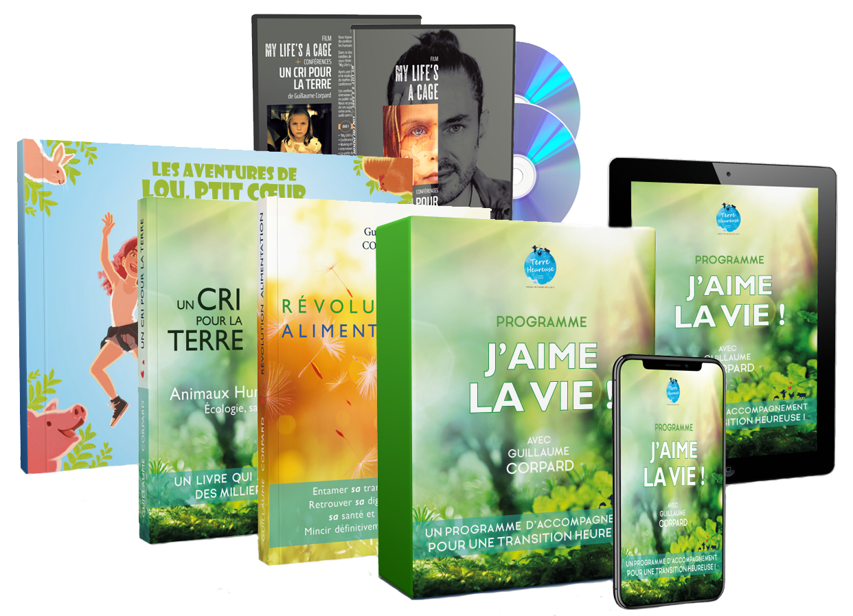 Pack 3D de la formation J’aime la Vie — vidéos + outils