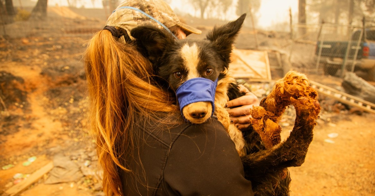 Flammes et incendies en France